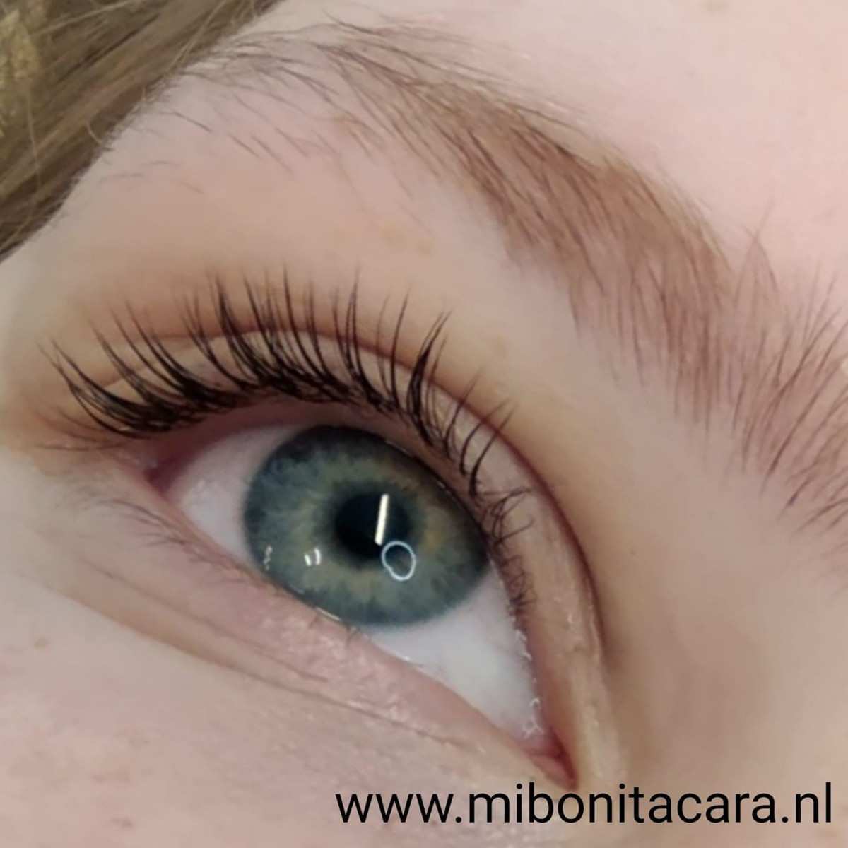 photo - Mi Bonita Cara